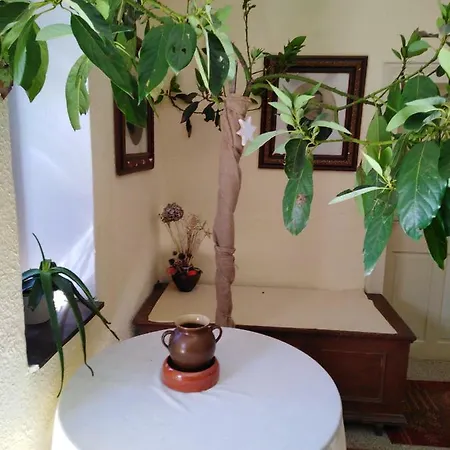 Apartma Banko Bled