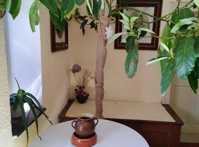 Apartamento Banko Bled